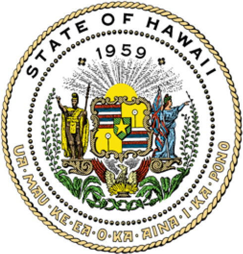 Statewide Office on Homelessness and Housing Solutions (SOHHS)